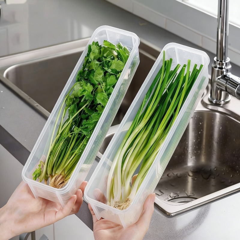 Commercial Kitchen Utensil Organizer - Boîte de conservation pour oignon vert