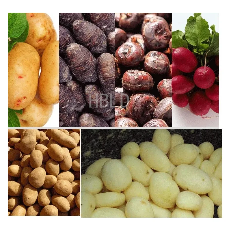 HBLD éplucheur de pommes de te - Commercial Potato Peeler avis et prix